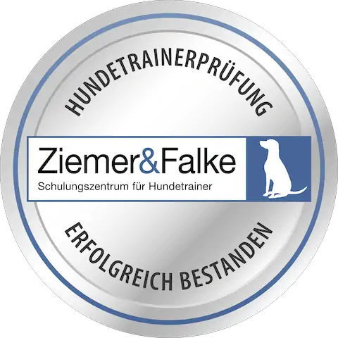 Ziemer & Falke